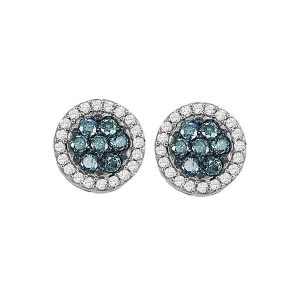 10Kt White Gold Diamond 1/3Ctw Earring